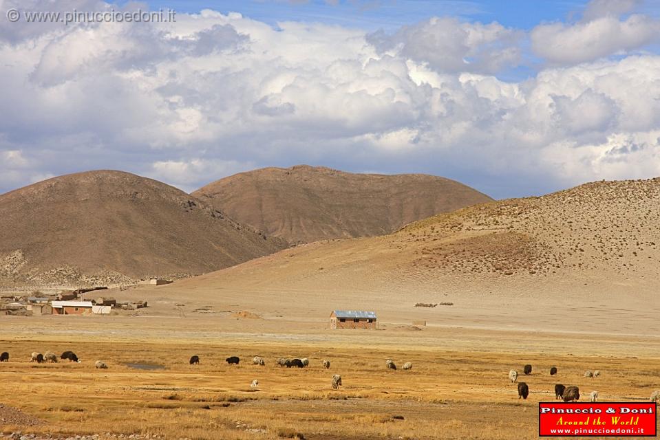 BOLIVIA 2 - Cordillera de Los Frailes - 29.jpg